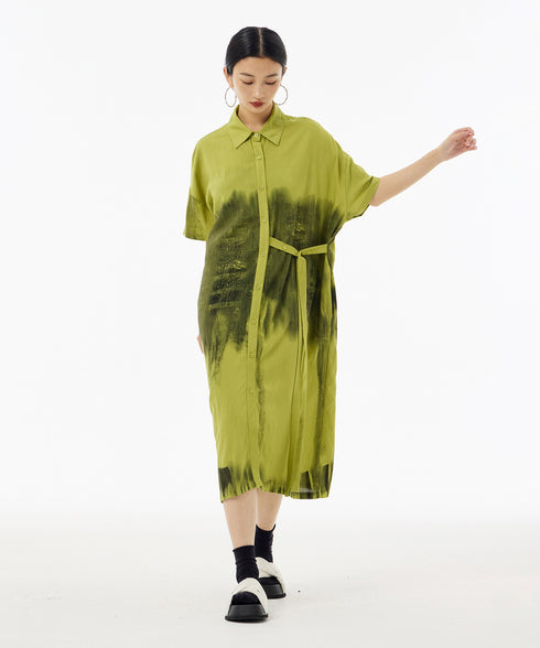 Blurred Print Dress